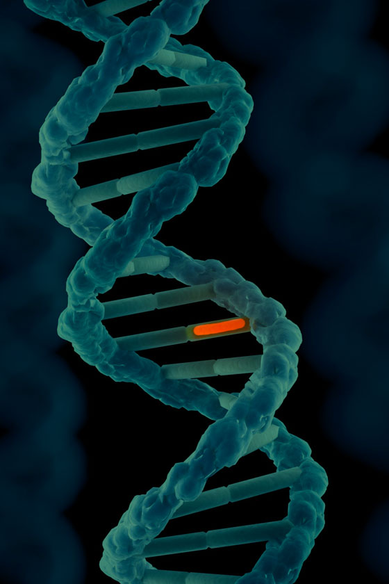 mutazione genetica SCN8A