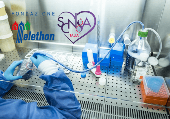 Comprendere il meccanismo e le conseguenze patologiche di mutazioni che coinvolgono l’alternanza dello splicing dell’esone 5 del gene Scn8a durante lo sviluppo